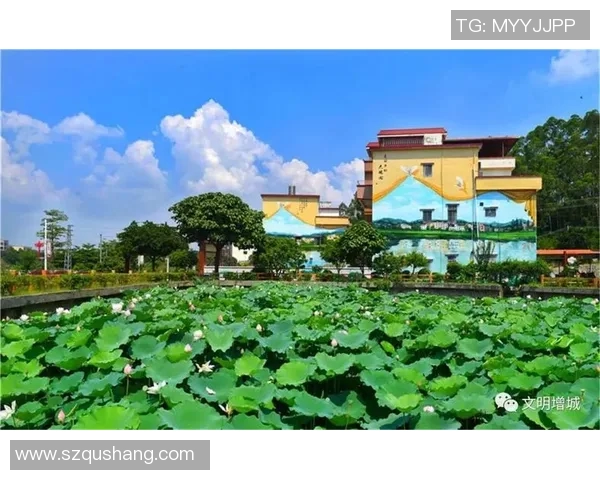 姚明村吧的魅力探索与乡村振兴之路的完美结合