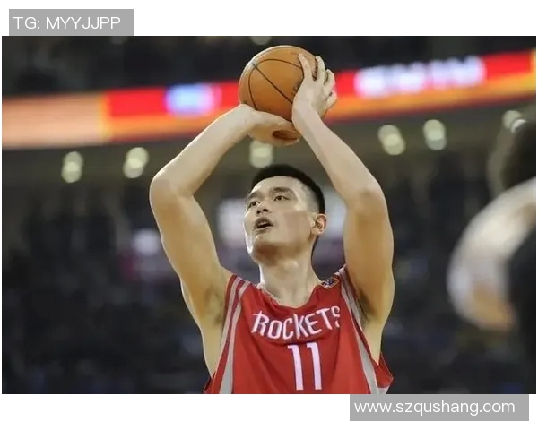 姚明与罗布的巅峰对决:篮球巨星的荣耀与传奇之路